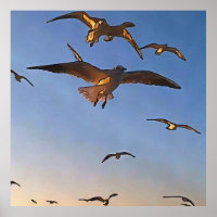 Mouettes En Vol Black Outline Art