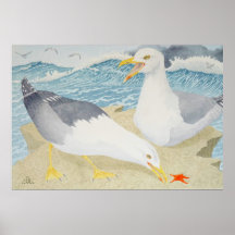 Mouettes reposant sur une falaise