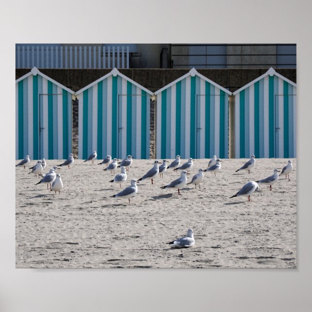 Affiche Mouettes sur la plage de Fort Mahon en France. (Devant)