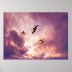 Affiche Mouettes volant dans un ciel de coucher de soleil