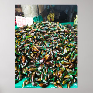 Affiche Moules à lèvres vertes à vendre