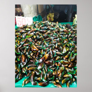 Affiche Moules à lèvres vertes à vendre