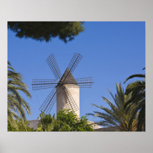Affiche Moulin à vent, Palma, Mallorca, Espagne