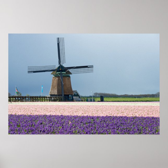 Affiche Moulin à vent traditionnel avec des fleurs roses e (Devant)