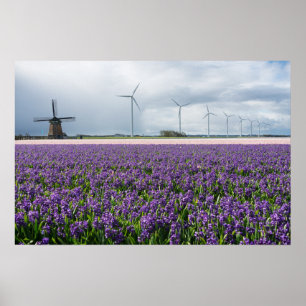 Affiche Moulin à vent traditionnel et moderne en Hollande