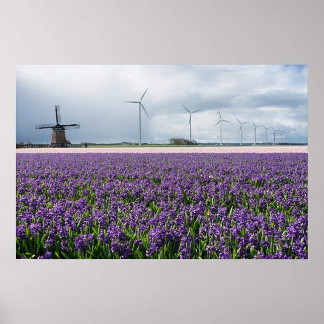 Affiche Moulin à vent traditionnel et moderne en Hollande (Devant)