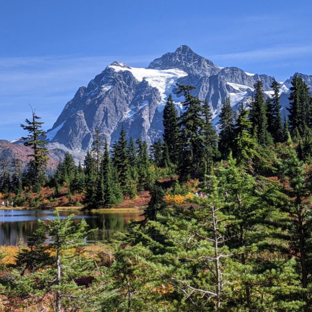 Affiche Mount Baker, Washington Fall Color (Créateur téléchargé)