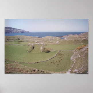 Affiche Mountain Field, West Donegal