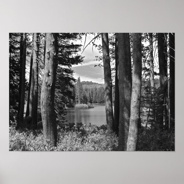 Affiche Mountain Lake, Forest, Black and White (Devant)