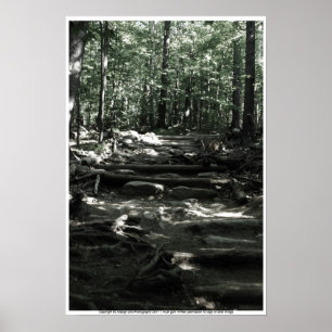 Affiche Mountain Trail