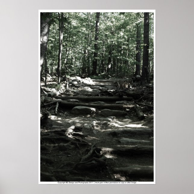 Affiche Mountain Trail (Devant)