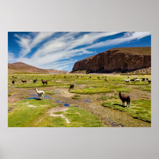 Affiche Mountains | Bolivian Andes (Devant)