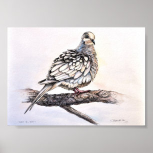 Affiche Mourning Dove Print
