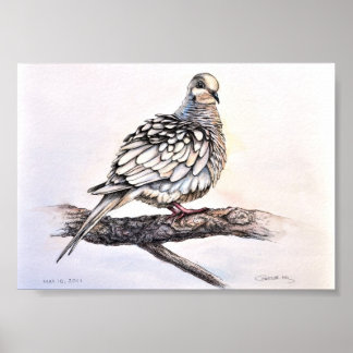Affiche Mourning Dove Print