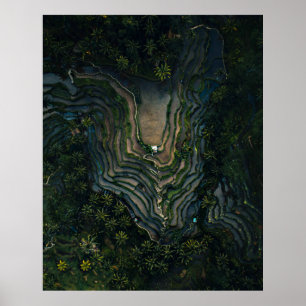 Affiche Mousse verte sur roche noire