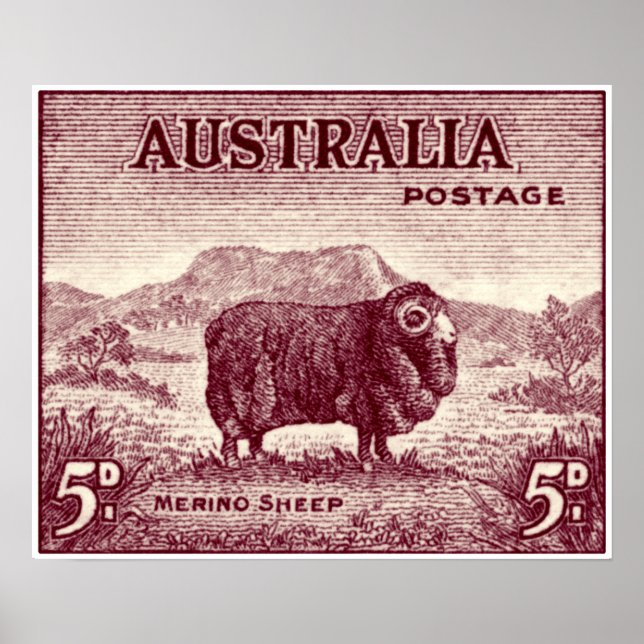 Affiche Mouton mérinos australien 1934 (Devant)