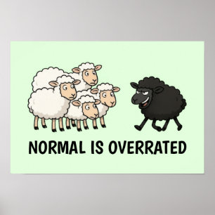 Affiche Mouton noir et blanc