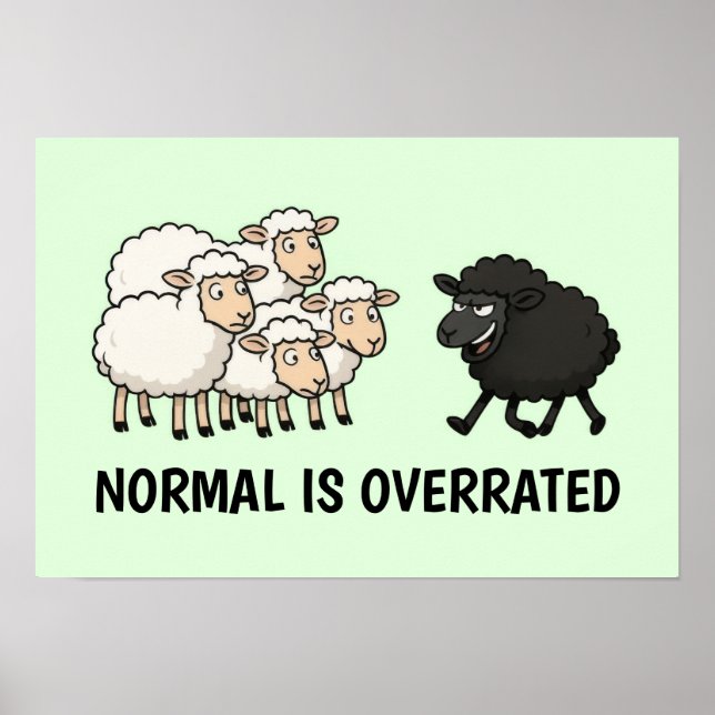 Affiche Mouton noir et blanc (Devant)