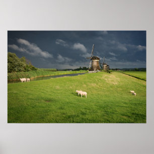 Affiche Moutons avec des moulins à vent sous des nuages so