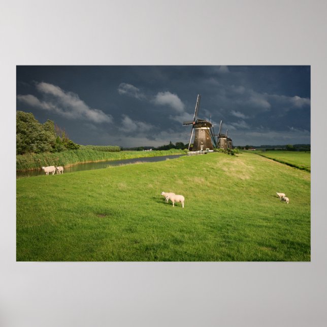 Affiche Moutons avec des moulins à vent sous des nuages so (Devant)