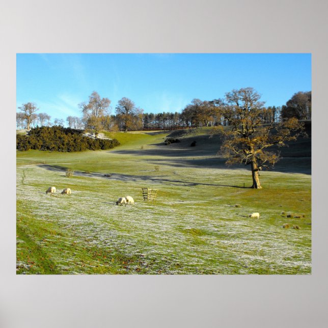 Affiche Moutons dans la vallée gelée (Devant)