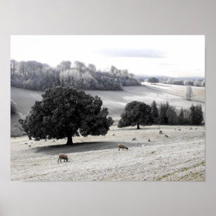 Affiche Moutons dans un champ givré