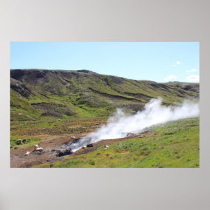 Affiche Moutons et sources chaudes