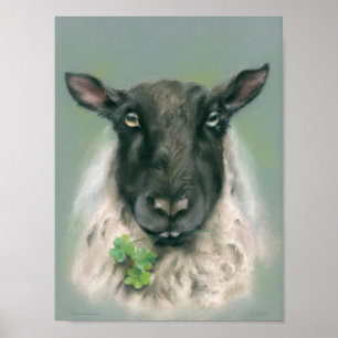 Affiche Moutons Whimsical avec Shamrocks