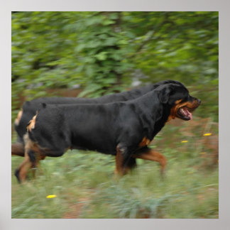 Affiche Movin' dans la cour