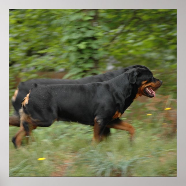 Affiche Movin' dans la cour (Devant)