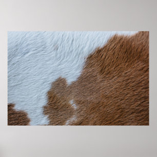 Affiche Moyen-siècle