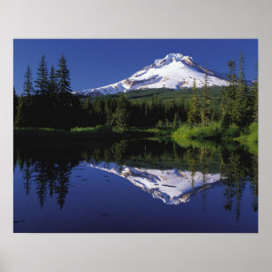 Affiche Mt Hood