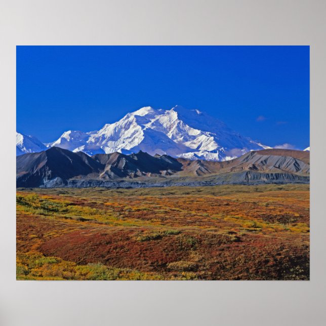 Affiche Mt . McKinley Parc national de Denali , Alaska. (Devant)