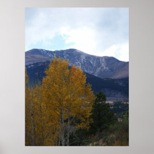 Affiche Mt Ouray