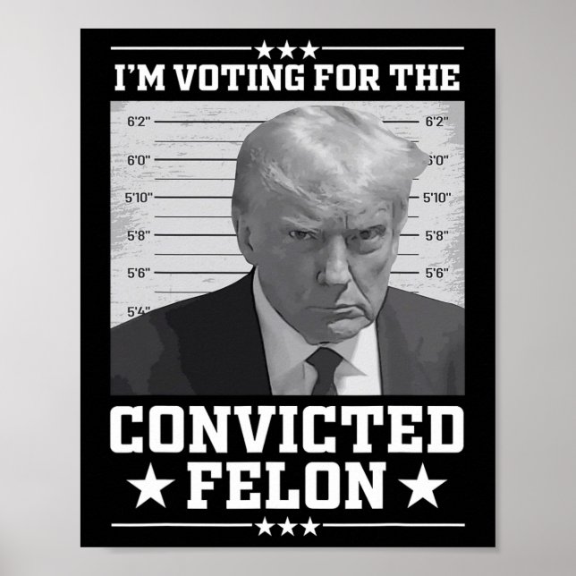 Affiche Mugshot Vote For The Felon Trump 2024 Trump Convic (Devant)
