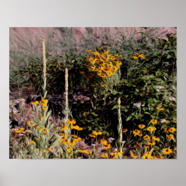 Affiche Mulleins Black Eyed Susan Flowers (Devant)