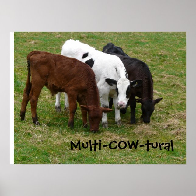 Affiche Multiculturel ? Nous sommes Multi-COW-tural ! (Devant)