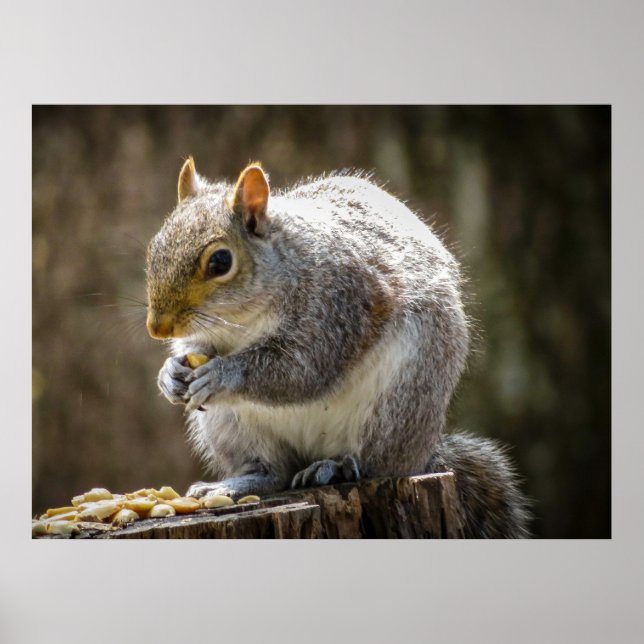 Affiche Munchies (Devant)