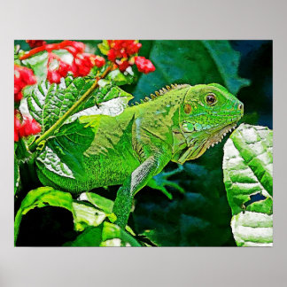 Affiche Mur d'art Iguana pour la décoration.