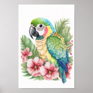 Affiche Mur d'art tropical ornithologique macaw avec impri