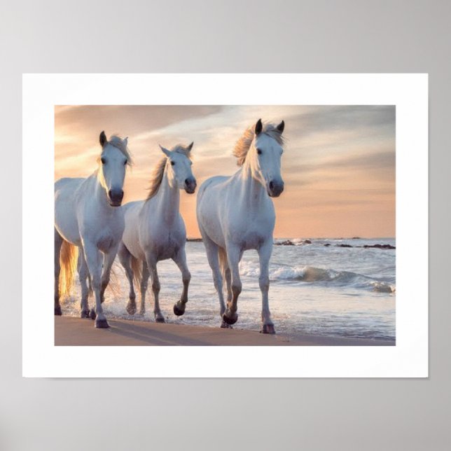 Affiche mur de chevaux Décor (Devant)