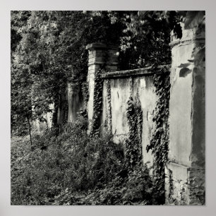 Affiche Mur de jardin surélevé