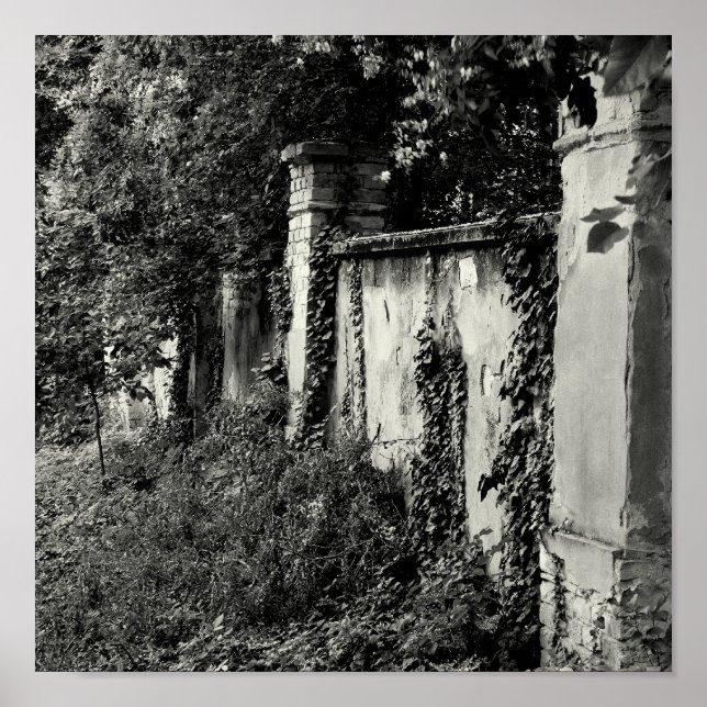 Affiche Mur de jardin surélevé (Devant)