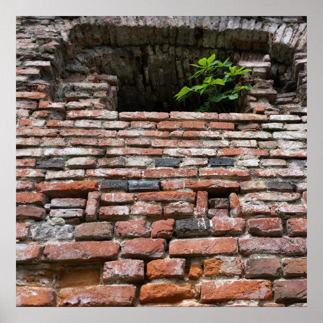 Affiche mur de la forteresse (Devant)