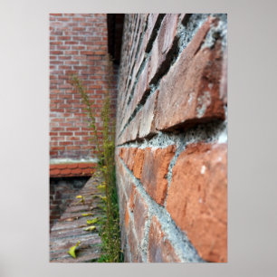 Affiche mur de la vieille ville