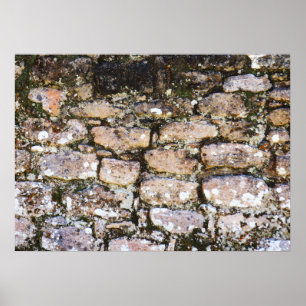 Affiche Mur de ruines mayas