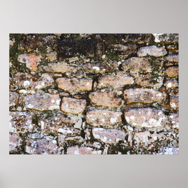 Affiche Mur de ruines mayas (Devant)