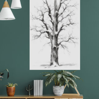 Affiche mur du royaume des glaces