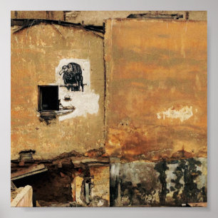 Affiche mur urbain de vautour péruvien