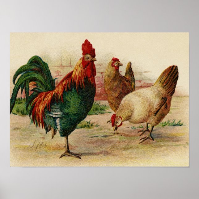 Affiche murale vintage de la campagne poulets (Devant)